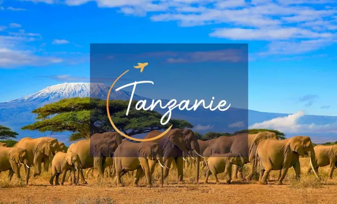 Afrique, Chambéry, Un Monde d’émotions