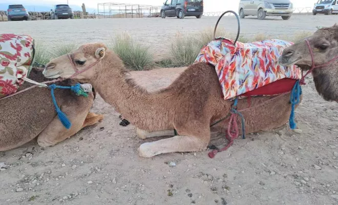 Marrakech au Maroc, Chambéry, Un Monde d’émotions